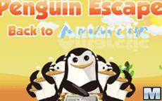 Madagascar el escape de los Pinguinos