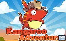 Kangaroo Adventure