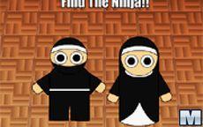 Ninja Or Nun