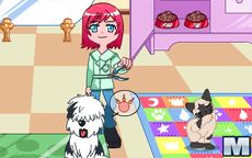 Puppy Center - Tu peluquería de perros