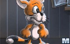 Toffy Cat
