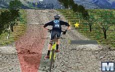 3D Mountain Bike