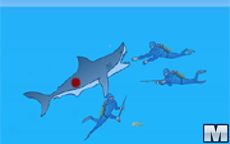Shark Bait