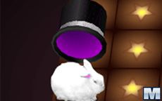 Houdini's Hat