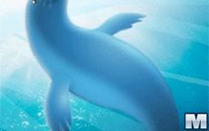 Monk Seal Watch
