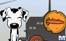 Smart Dogs