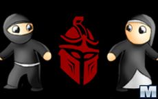 Ninja Or Nun 3