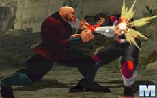 The Perfect Fighter
