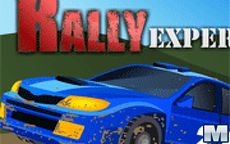 Rally Expert