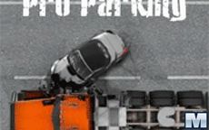 Pro Parking