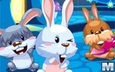 My Sweet Bunny