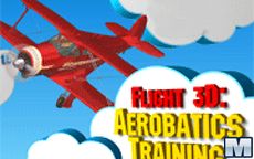 Flight 3D Aerobatics Training