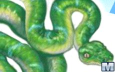 My Charming Snake