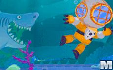 Bermuda Diver