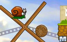 Caracol Bob