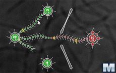 Tentacle Wars