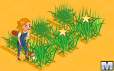 Wheat Farm 