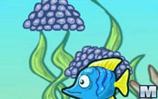Fish Race Champions 