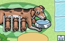Mama Dog