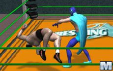 Wrestling Legends