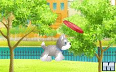Pepper's Frisbee Fun