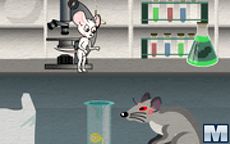 Lab Mouse Escape