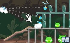 Cute Birds Forest