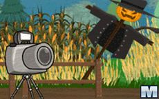 Cam The Camera