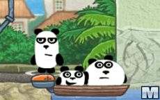 3 Pandas in Brazil