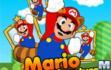 Mario Mirror Adventure