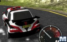 Rally Motion