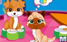 Happy Pets