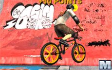 BMX Freestyle