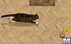 Catbox Bowling