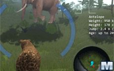 Juego Leopard In The Wild - Matar animales siendo un leopardo