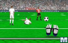 Goalkeeper Premier
