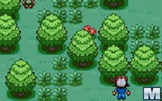 Pokemon Flash