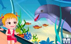 Baby Hazel Dolphin Tour
