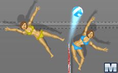 Ragdoll Voleyball