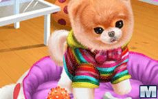 Baby Doggy Boo