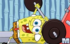 Sponge out of water