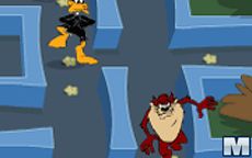 Taz-Man