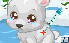 Polar Bear Care