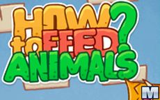 How To Feed Animals