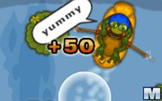 Rafter Toad