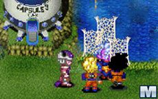Dragon Ball Z Village