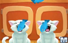 Nom Nom Kitties