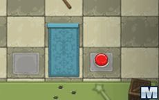 Secrets of the Carpets