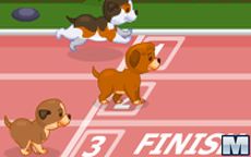 Puppy Racer