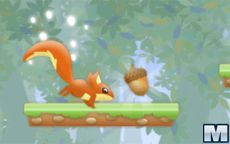 Nut Rush